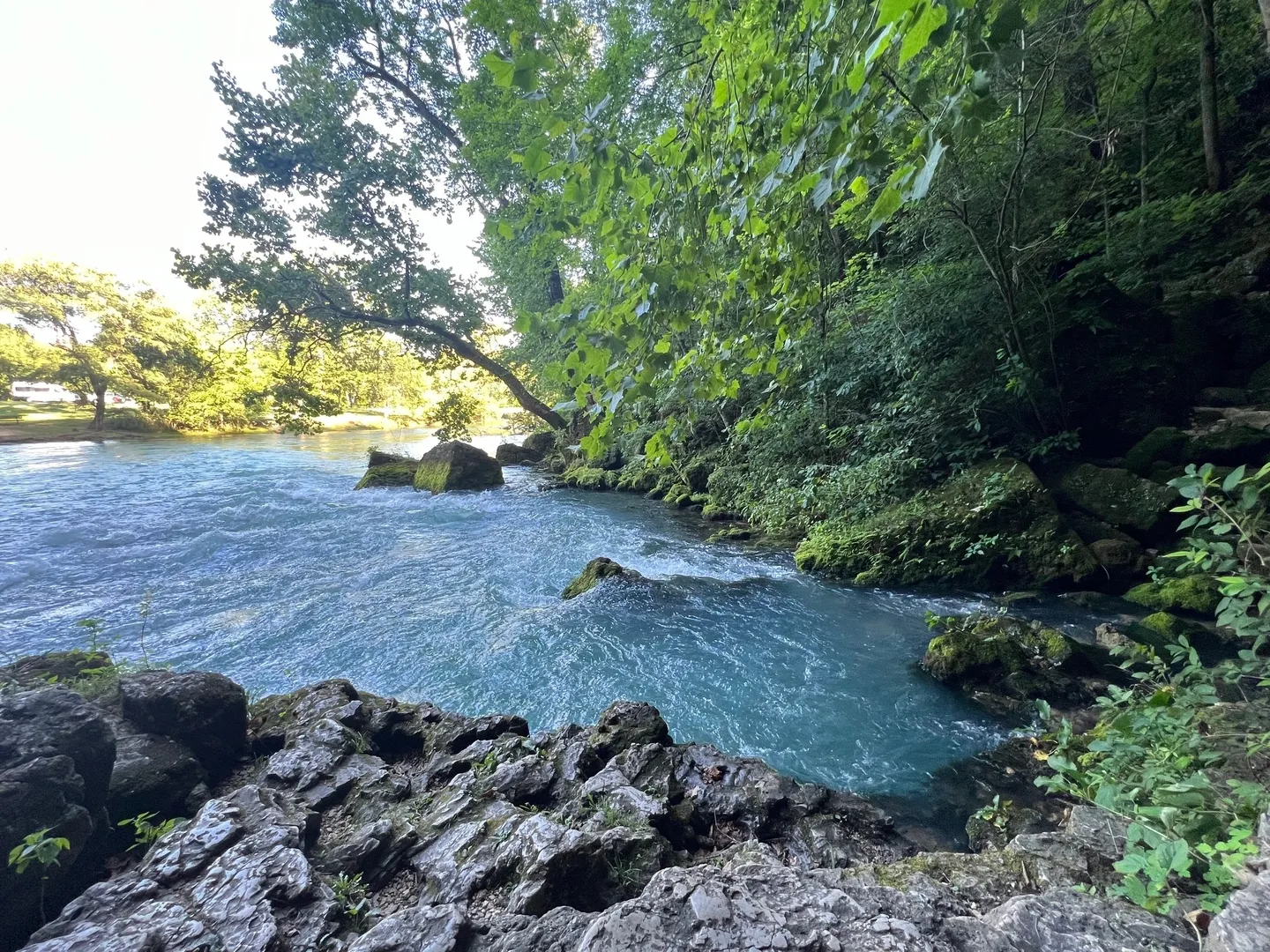 A river with rocks and trees in the background.